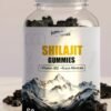 Shilajit Gummies | Energy Gummies | Pure Himalayan Shilajit for Men & Women